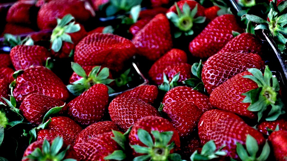 strawberries-in-containers